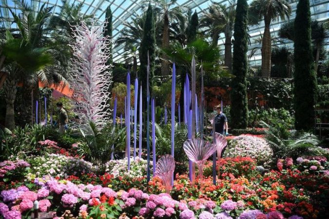 新加坡滨海湾将以绚丽奇幻的花园迎接旅游气泡的旅客-675x450