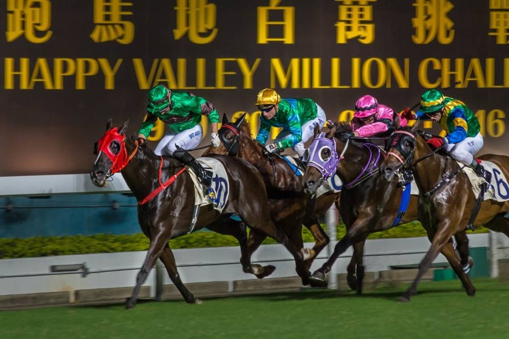 當地民眾最愛的賭博活動！香港為什麼會流行賽馬