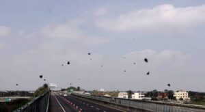 通博娛樂城-社會新聞-紫斑蝶也被強震嚇到 瞬間每分鐘飛出700隻