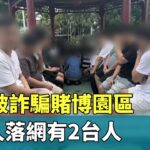 通博娛樂城-線上娛樂-菲律賓突搜詐騙賭博園區162人落網 2台灣人被捕