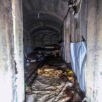 通博娛樂城-通博娛樂-以軍證實擊斃哈瑪斯首腦與指揮官，地道深處尋獲遺體