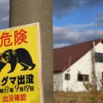 通博娛樂城-國際資訊-超狂！3隻熊熊闖進日本養殖場，瘋狂嗑掉30條魚，簡直把養殖場當吃到飽