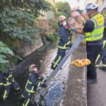 通博娛樂城-社會動態-💔 淚崩！人性何在？ 剛出生小生命竟被殘忍丟棄水溝 😭 發現時已是冰冷遺體...