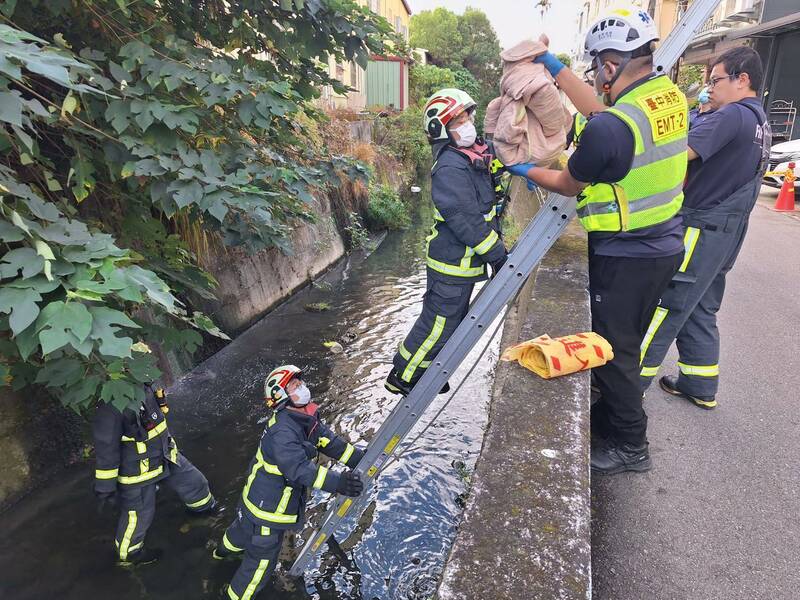 通博娛樂城-社會動態-💔 淚崩！人性何在？ 剛出生小生命竟被殘忍丟棄水溝 😭 發現時已是冰冷遺體...