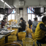 通博娛樂城-國際資訊-【慣老闆怒吼】國慶只休2天！員工抗議反遭「牛馬論」羞辱：不爽就滾去耕田！