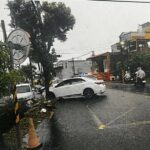 通博娛樂城-社會動態-笑不出來!吸毒男「逃命撞樹」!抬頭一看...竟是警察局門口!網笑翻:神助攻!