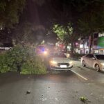 通博娛樂城-社會動態-太可怕！「路樹像炸彈」倒塌砸爛3車！台中強風一秒變災難現場！