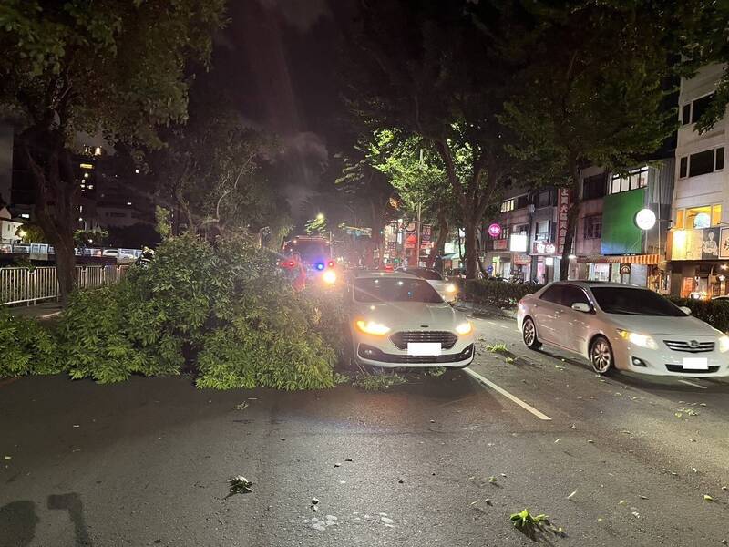 通博娛樂城-社會動態-太可怕!「路樹像炸彈」倒塌砸爛3車!台中強風一秒變災難現場!