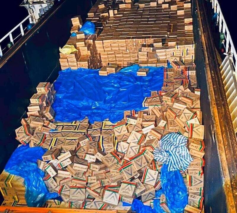 通博娛樂城-國際新聞-【海上追緝】毒梟哭慘了！海巡署「緝毒神犬」出擊，破獲市值破億元私菸奇案