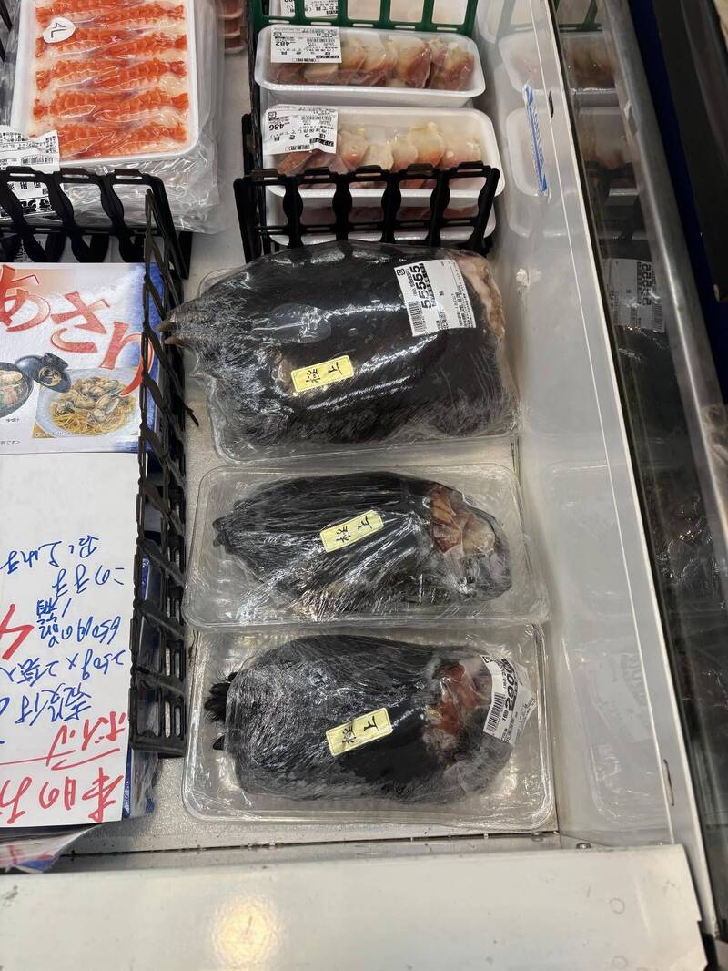 通博娛樂城-國際新聞-【驚悚直擊！】日本超市「公然販售」帶毛整隻熊掌！價格曝光全網嚇歪：到底誰敢吃？