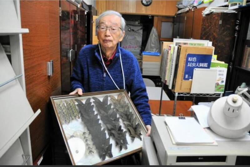 通博娛樂城-國際新聞-奇蹟!82歲教授「半世紀心血」在日本被當垃圾!1000箱「天價昆蟲標本」竟在台灣找到「永恆的家」!