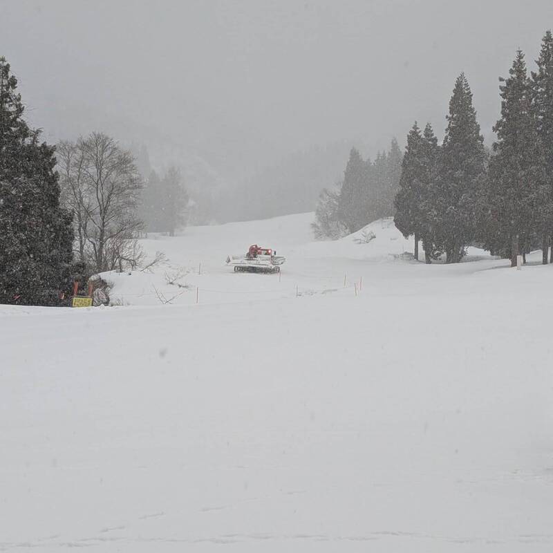 【生死救援】 又有台人滑雪出事！6人團迷失雪山深處，受困一夜音訊全無，日本警方急搜救。