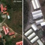 通博娛樂城-國際新聞-千年演化奇蹟！兇殘棕熊變身「溫柔巨人」 義大利研究驚揭：牠們開始愛上人類