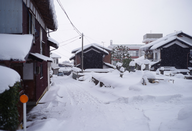 暴雪封路！鳥取縣大山町選情告急，選務人員受困雪中，投票被迫緊急延時！
