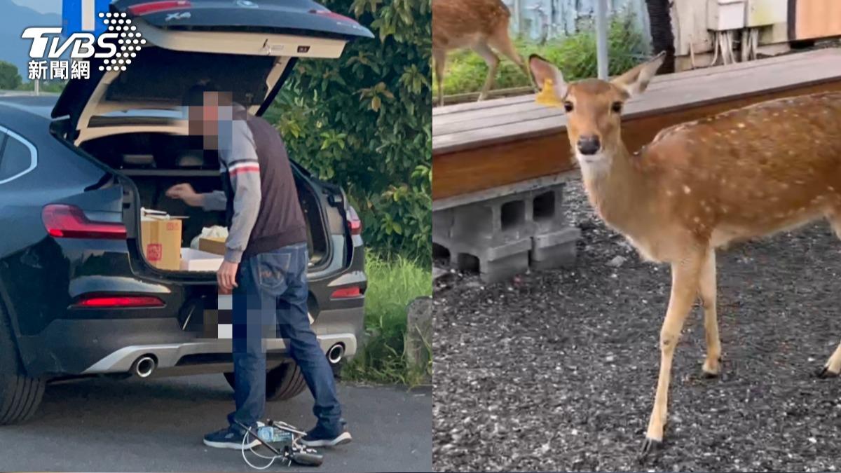 名店崩壞！張美阿嬤兒爆「殘害動物」　農場慘遭網民血洗負評改名！