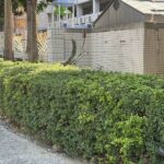 高雄校園驚傳暴力！小學生竟持美工刀「抵同學下巴」威嚇，家長集體氣炸報警！