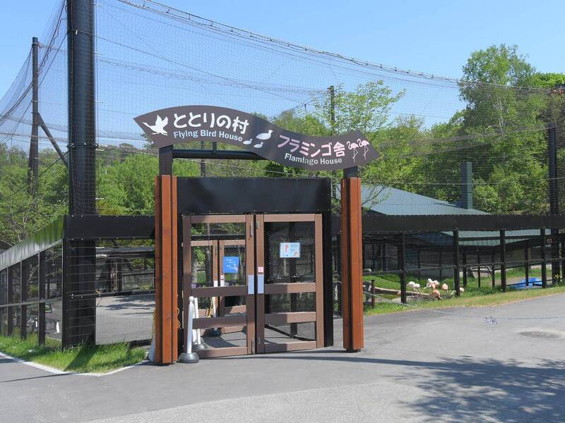 【地獄級毀屍滅跡】驚悚！旭山動物園員工「狠殺親妻」拋入焚化爐，隔天竟面無表情照常上班，冷血程度全網嚇傻！