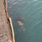 黑吃黑最慘結局！主嫌王嘉榮殺人棄屍手法殘暴，二審法官心死：維持無期徒刑