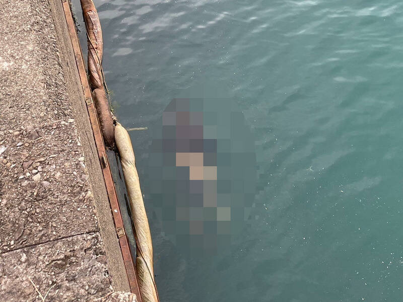 黑吃黑最慘結局！主嫌王嘉榮殺人棄屍手法殘暴，二審法官心死：維持無期徒刑