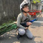 台北街頭驚見奇觀！孔雀現身馬路「逛大街」，熱心民眾神勇「抱緊處理」網笑翻