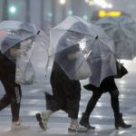 末日級暴雨！鹿兒島慘變水鄉澤國，緊急疏散1.3萬人「逃難潮」畫面曝光！