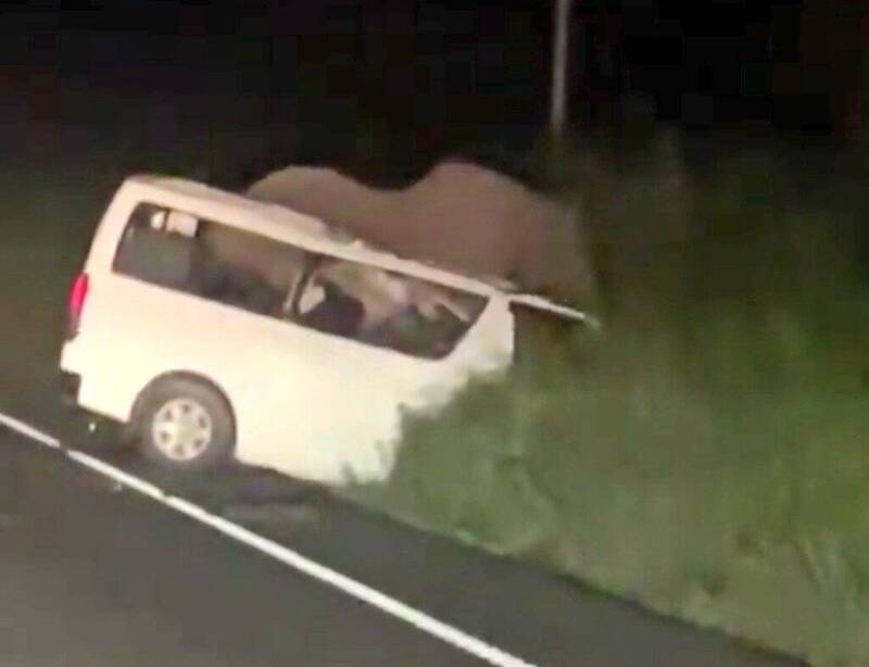 死亡車禍！烏干達轎車高速撞擊大象，慘釀3死4傷驚魂！