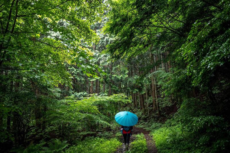 奪命山谷!日本長野驚傳連環山難 外國登山客「死傷慘重」人數創歷史新高
